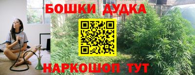 прущие грибы Канаш