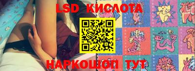 прущие грибы Канаш