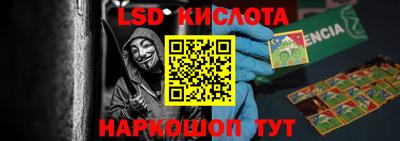 ПСИЛОЦИБИНОВЫЕ ГРИБЫ Кандалакша