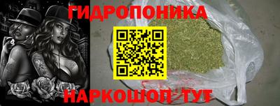 ПСИЛОЦИБИНОВЫЕ ГРИБЫ Кандалакша