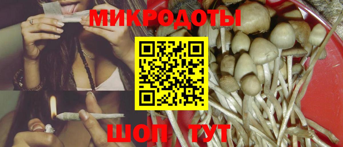 Галлюциногенные грибы мухоморы Каспийск