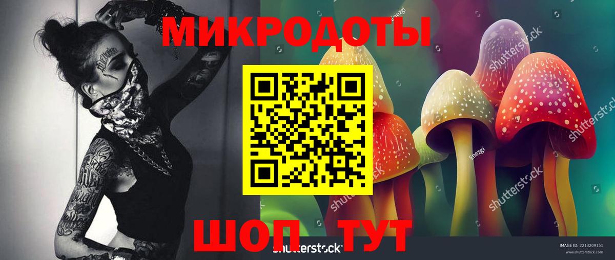 Каспийск  Псилоцибиновые грибы Cubensis  закладка  Вход с VPN 